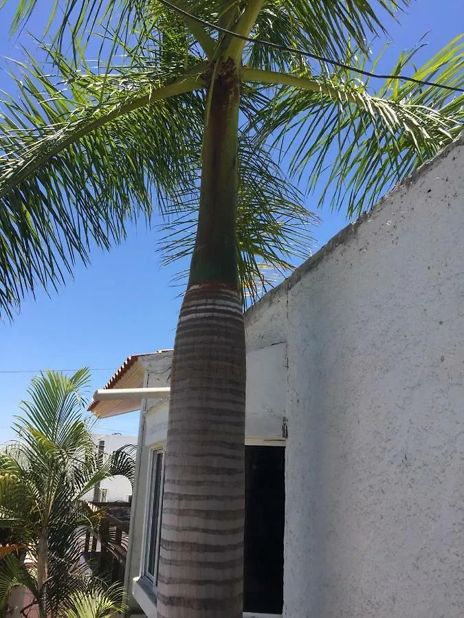 Zona Dorada Mazatlan Apartment